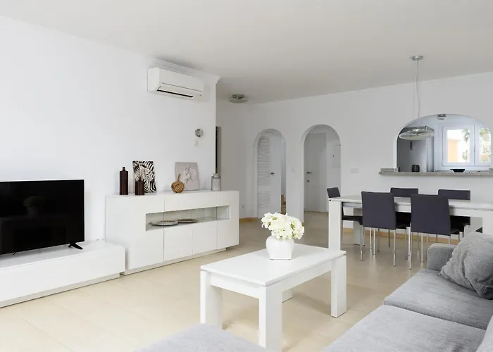 Seraph By On Travel * Oliva